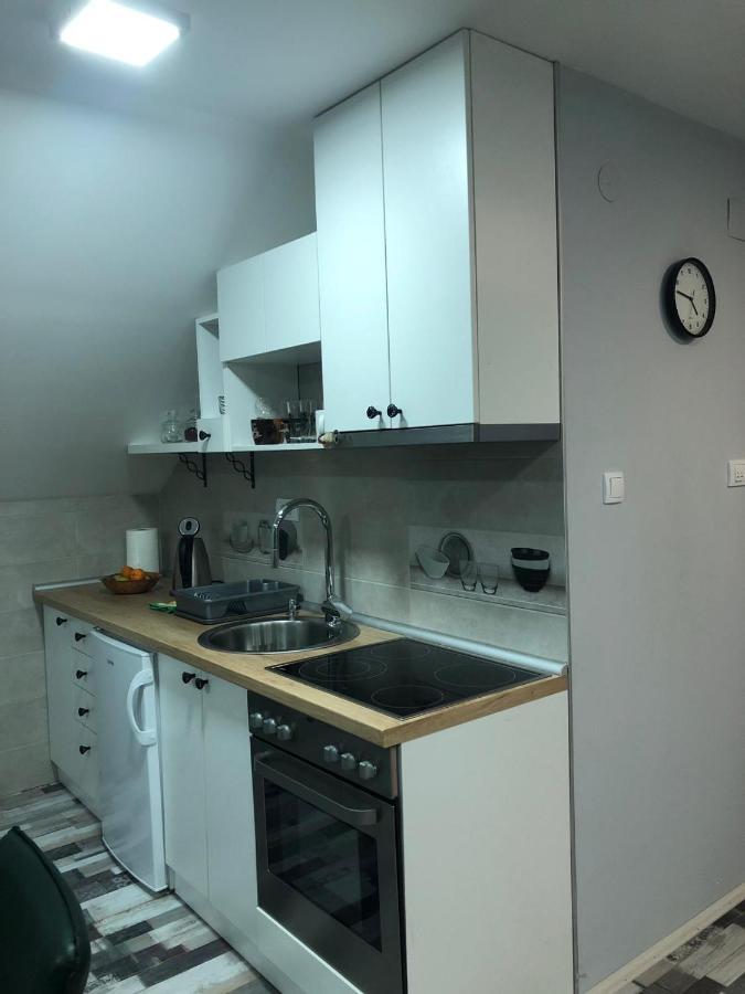 Apartmani Joma Bajina Basta Eksteriør billede